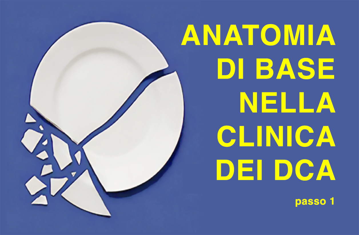 Anatomia di base nella clinica dei DCA - PASSO 1